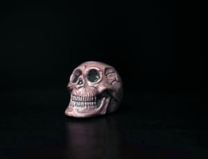 golden skull decor thumbnail