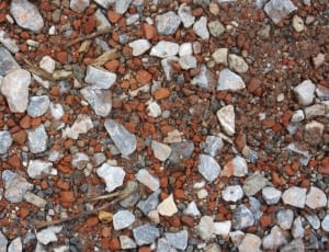 assorted rock fragments thumbnail