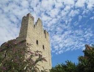 gray castle tower thumbnail