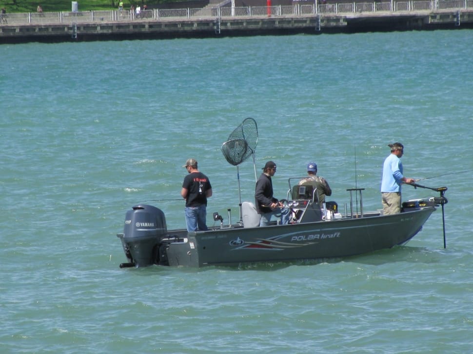 people standing on motorboat fishing preview