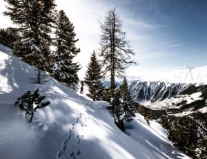 snow capped mountain with trees under clear sky and white stratus clouds during daytime thumbnail