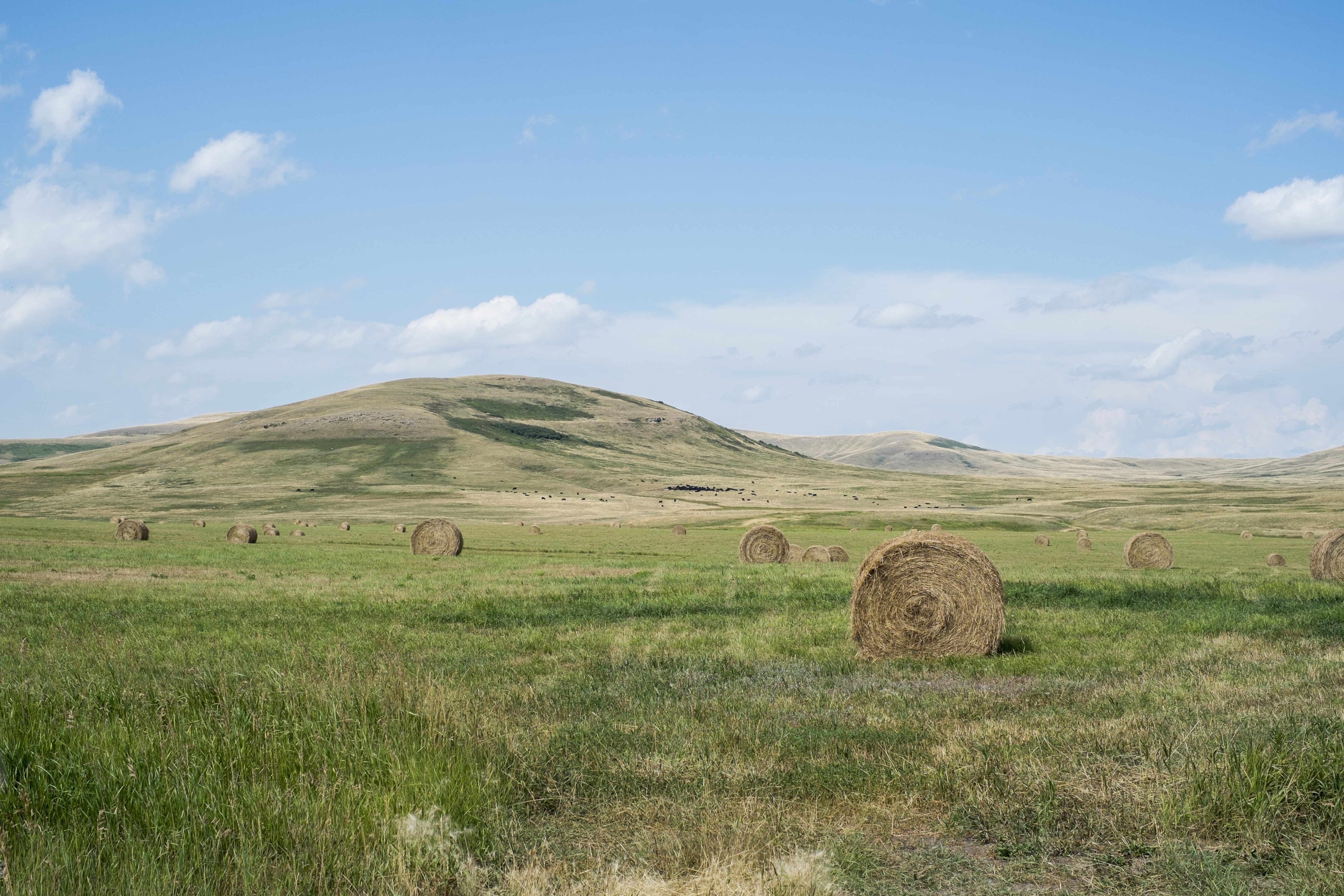 hay rolls on green grass field at daytime