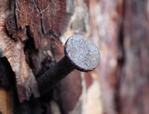 black nail in brown wooden surface thumbnail