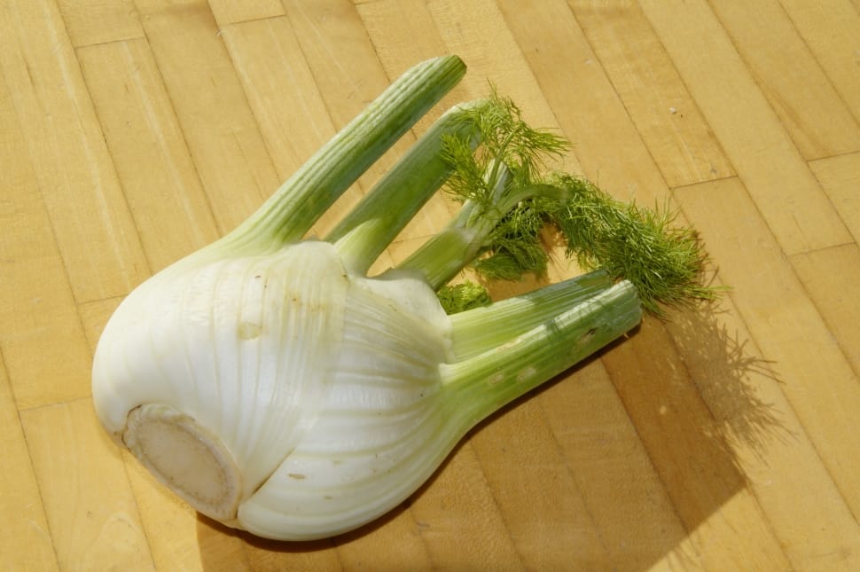 fennel preview