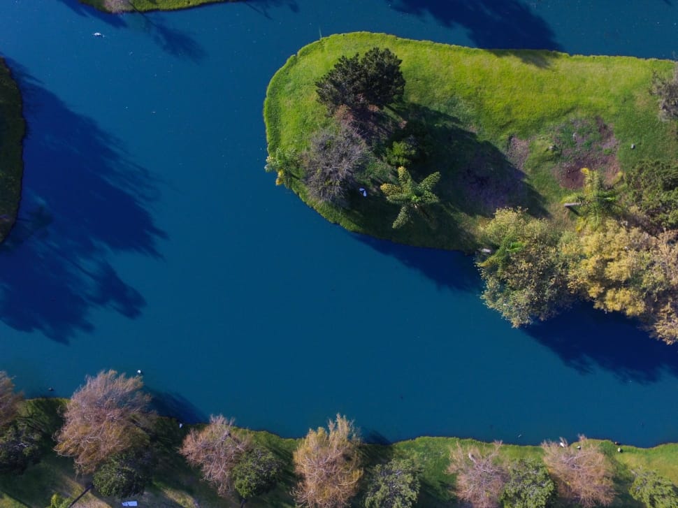aerial view of tree on grass field surrounded by water during daytime preview