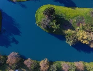 aerial view of tree on grass field surrounded by water during daytime thumbnail