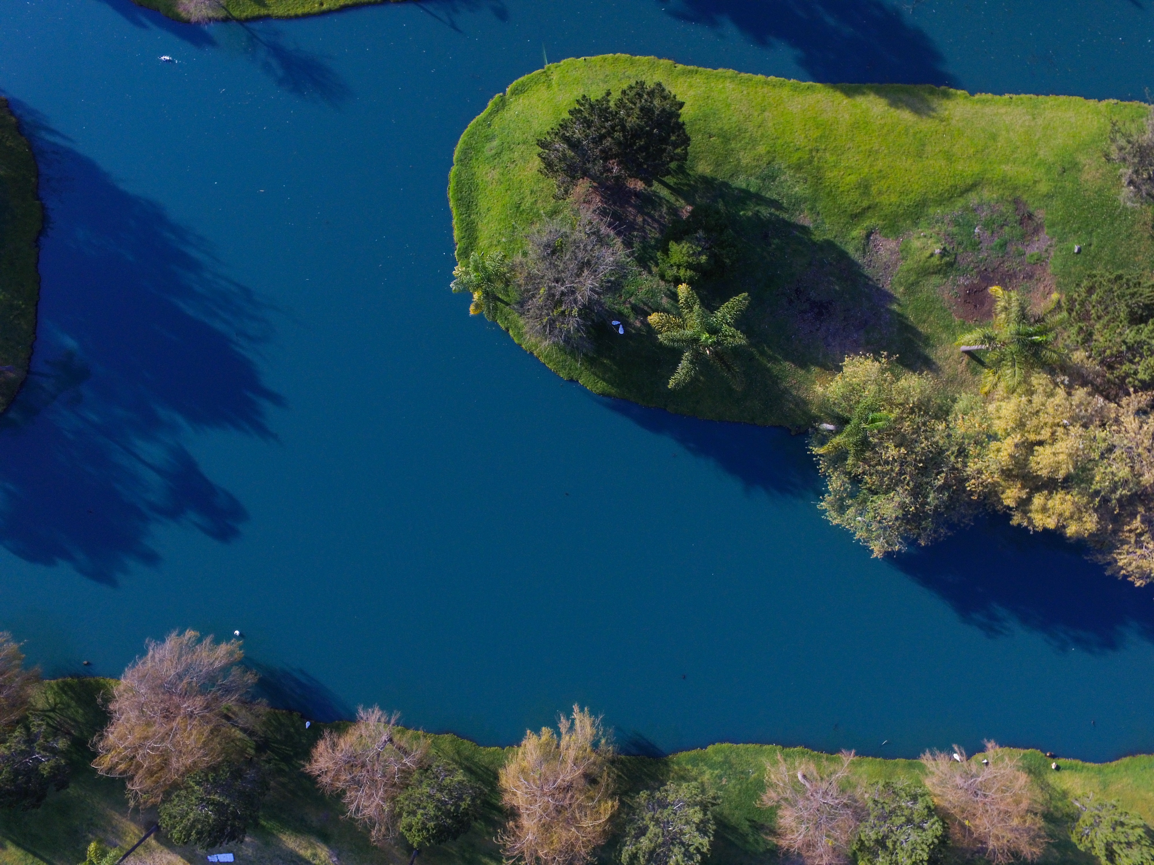 aerial view of tree on grass field surrounded by water during daytime