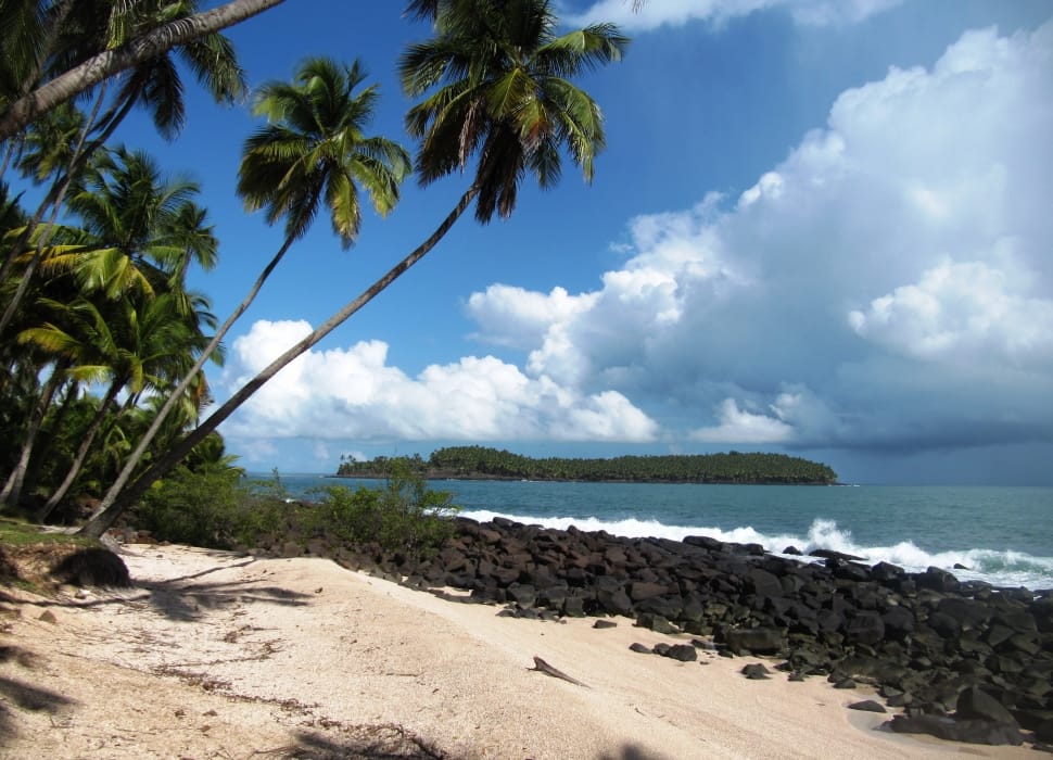 green leaved trees and gray sand near ocean water under blue and white cloudy sky during daytime preview