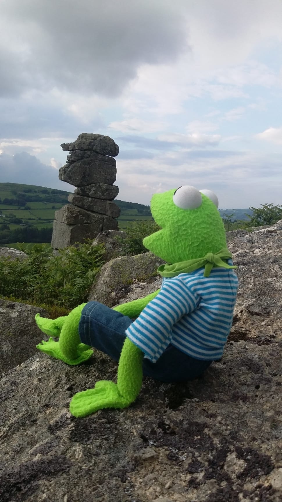 kermet the frog plush toy on ground and rock pile at distance under nimbus clouds preview