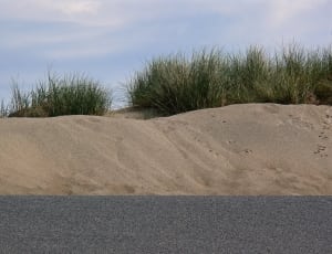 sand formations with grasses thumbnail