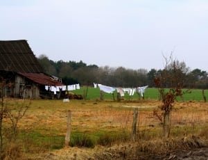 farm beside green grass lawn and forest thumbnail