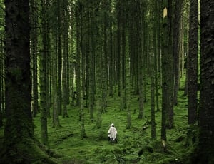 man in cape surrounded with tall trees thumbnail