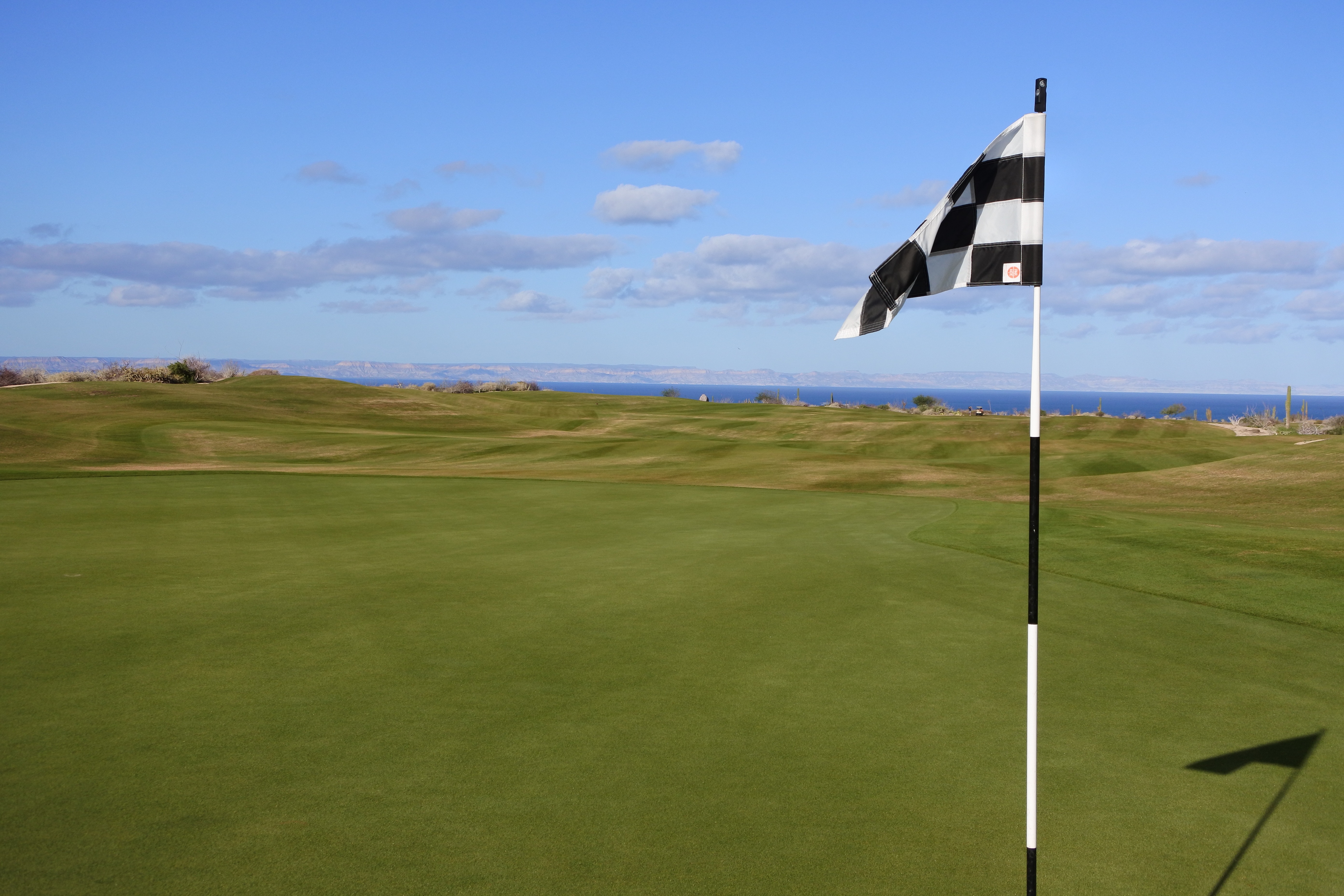 black and white golf flag