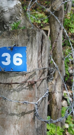close capture of a number 36 road signage thumbnail