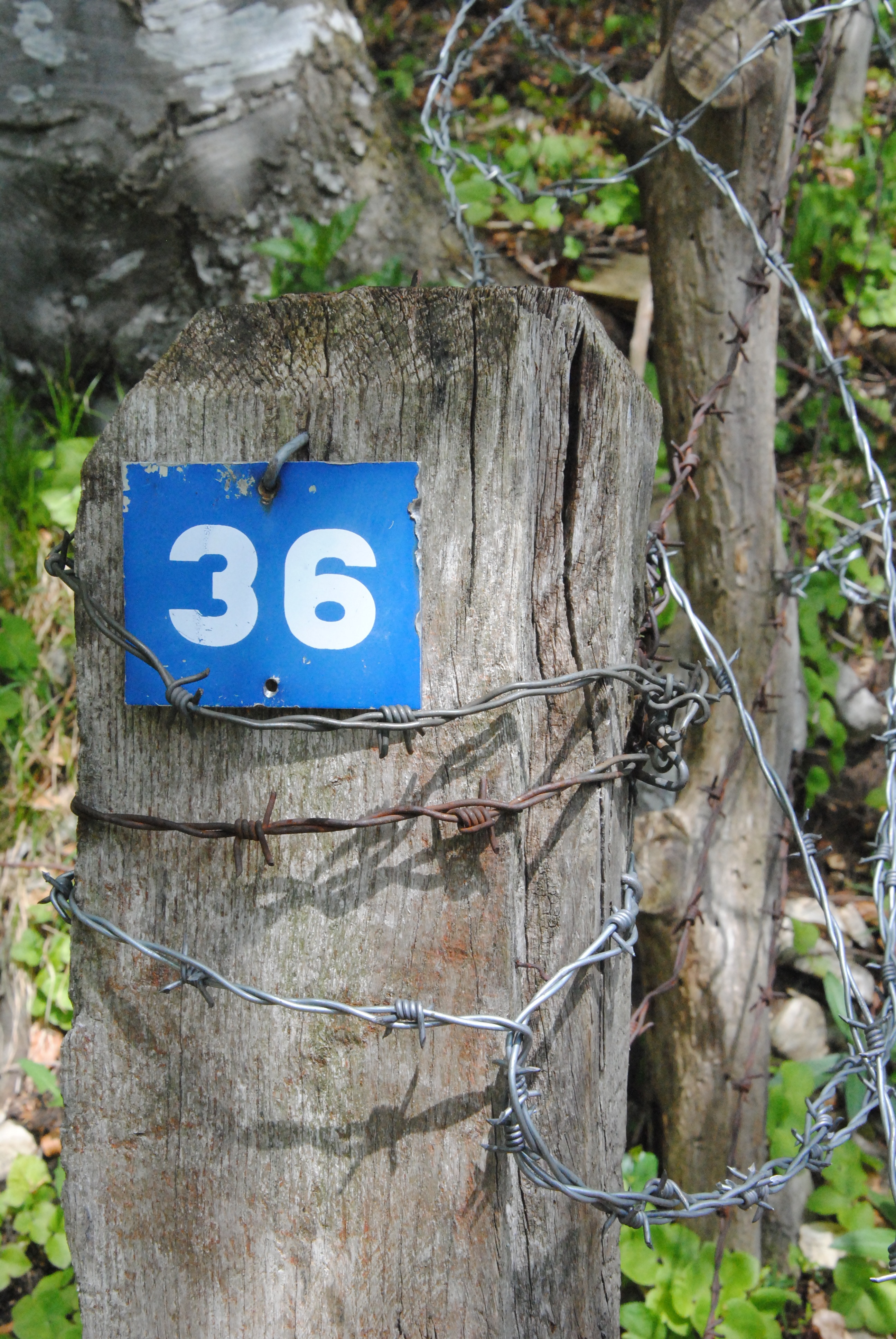 close capture of a number 36 road signage