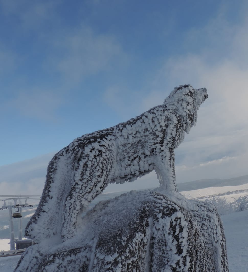 brown concrete wolf statue covered with snow preview