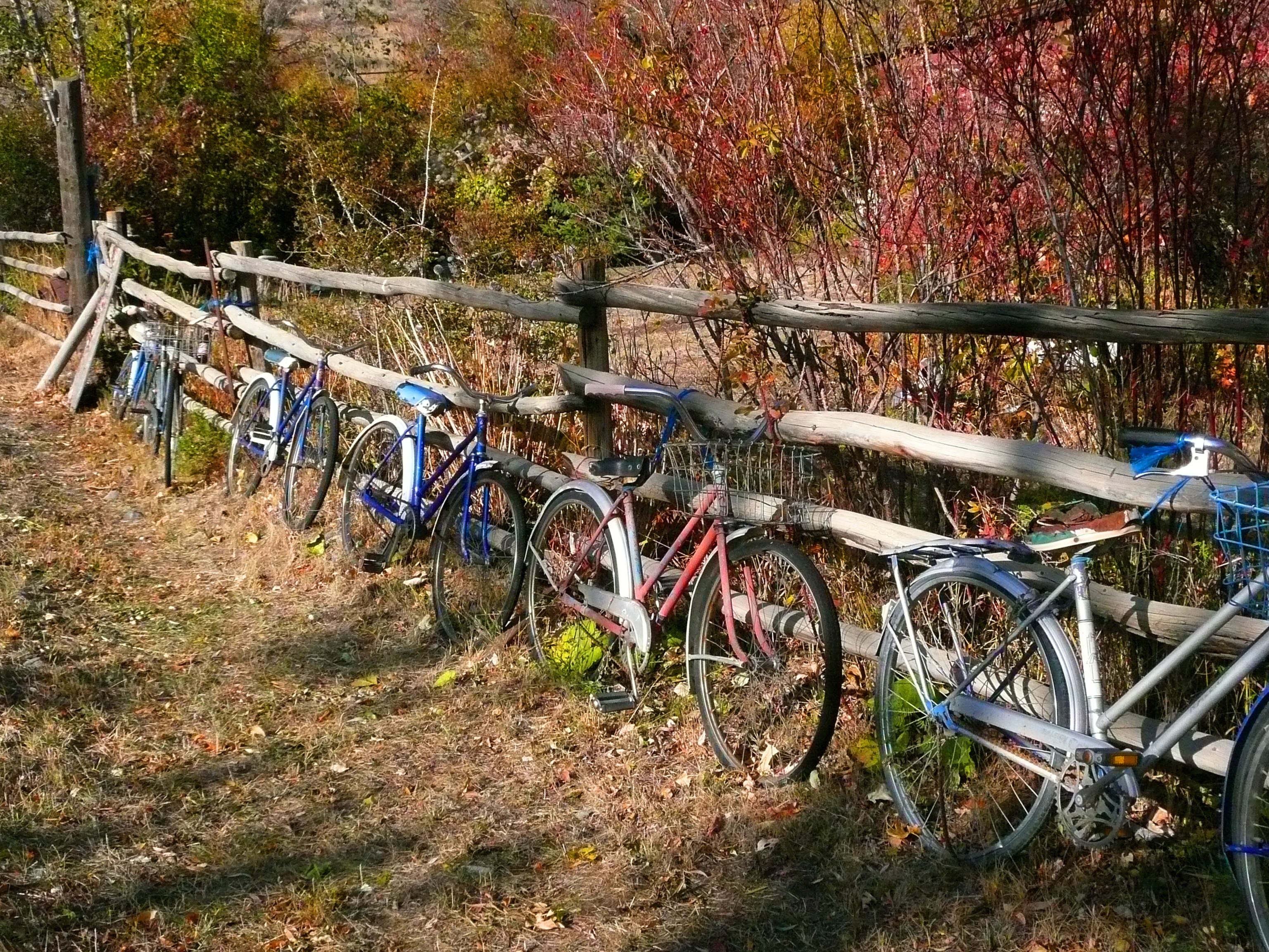 5 cruiser bicycles