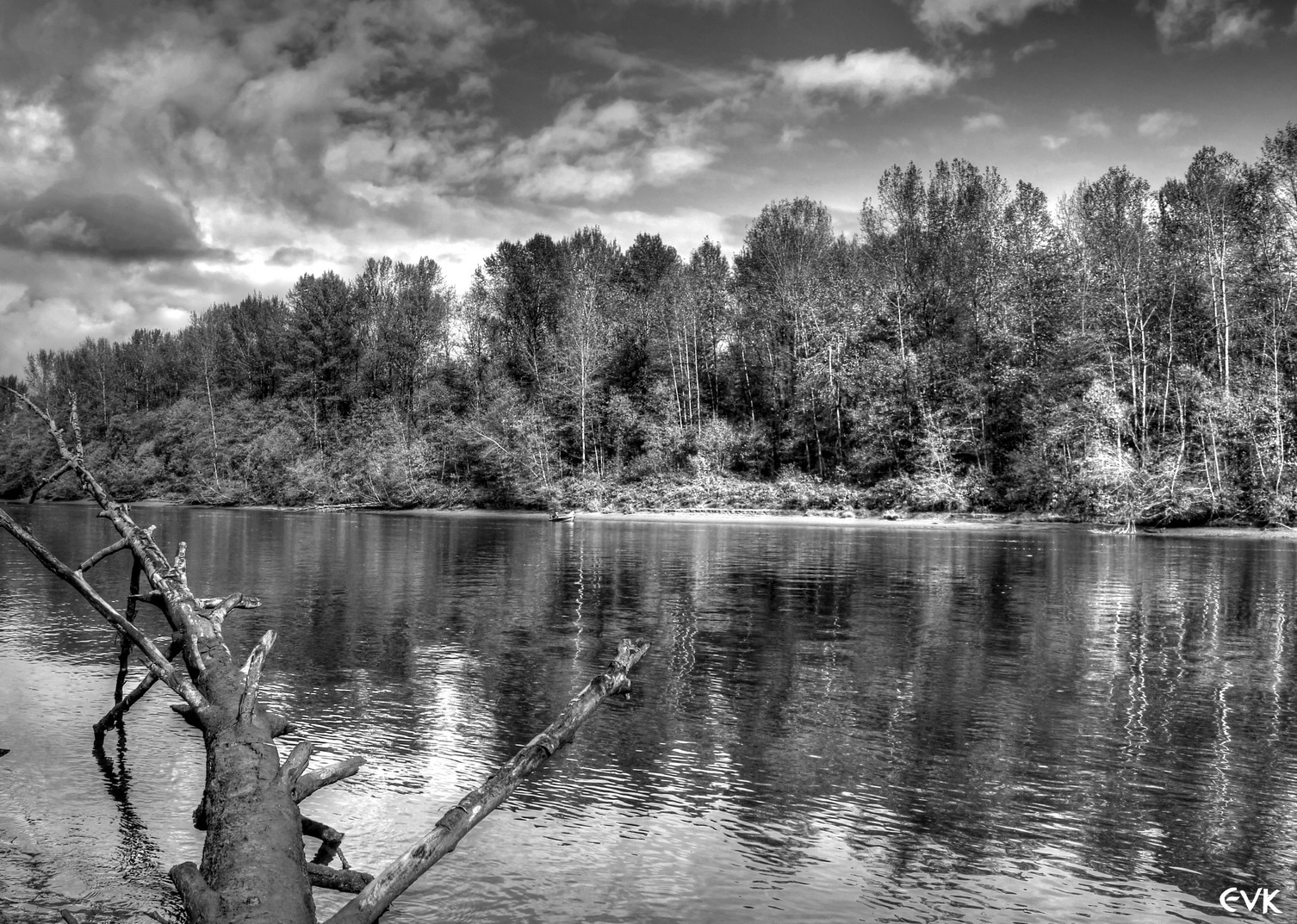 grayscale image of forest and body of water