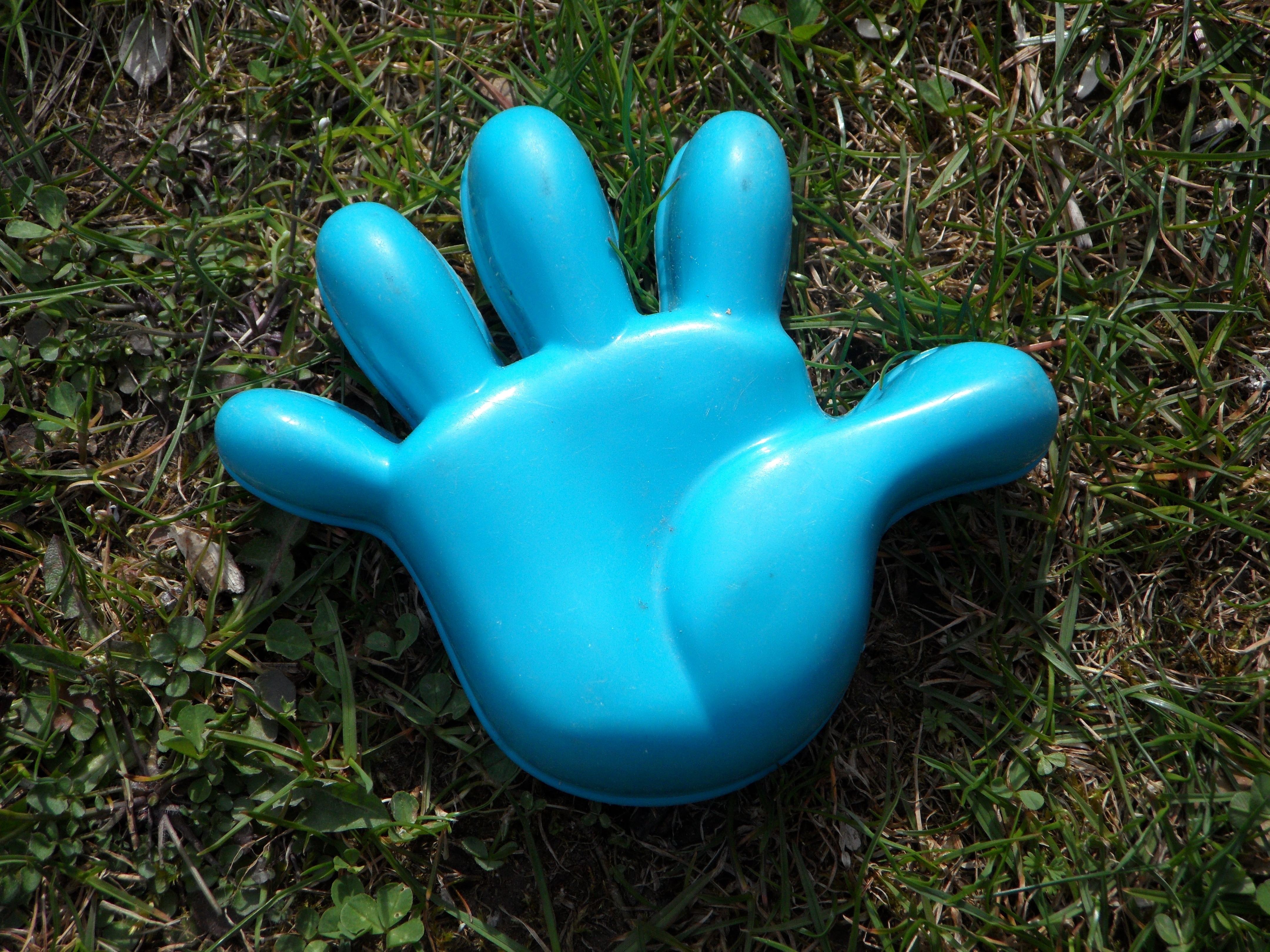 blue plastic palm toy
