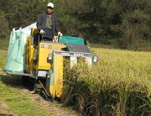 yellow dsm41 rice harvester thumbnail