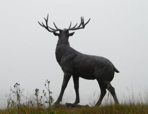 statue of reindeer thumbnail