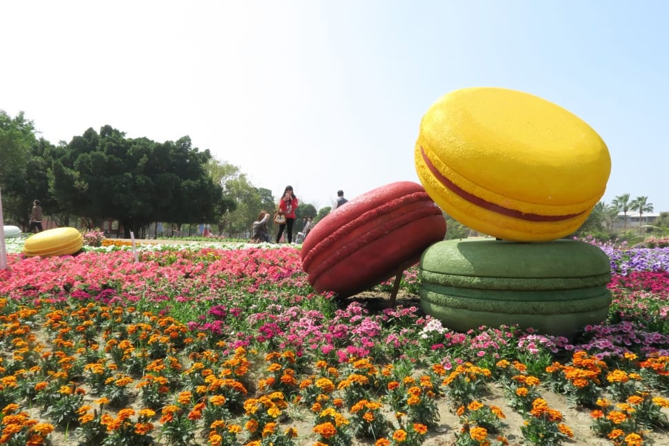 giant french macaroons statue preview