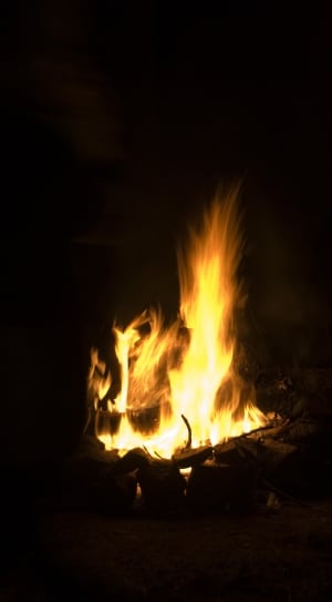 close up of wood fire thumbnail