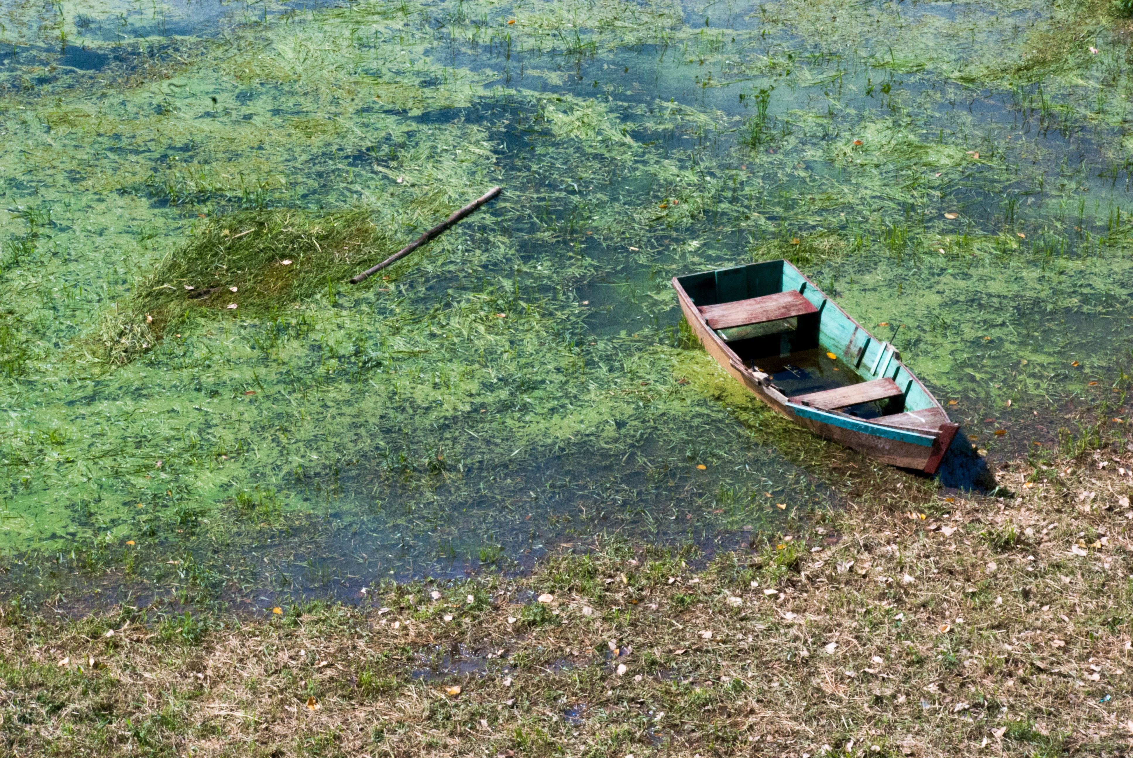 Можно ли на лодке на озере. Лодка на воде. Лодка голубое озеро. Катер на зелёном озере.