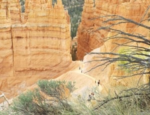grand canyon thumbnail