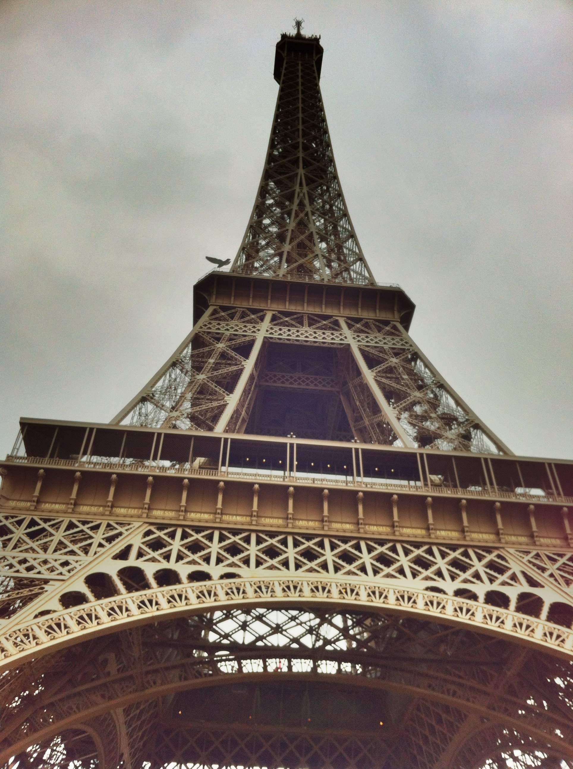 low angle photography of Eiffel tower of Paris