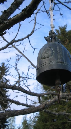 black bell on tree thumbnail