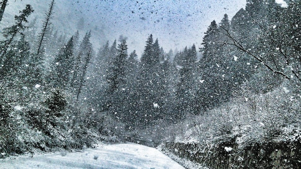 snow scenery preview