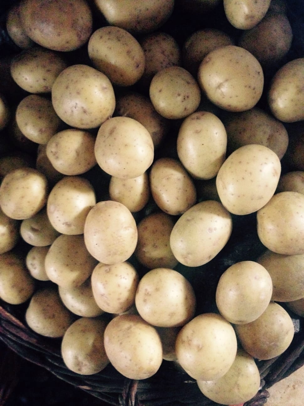potato lot preview