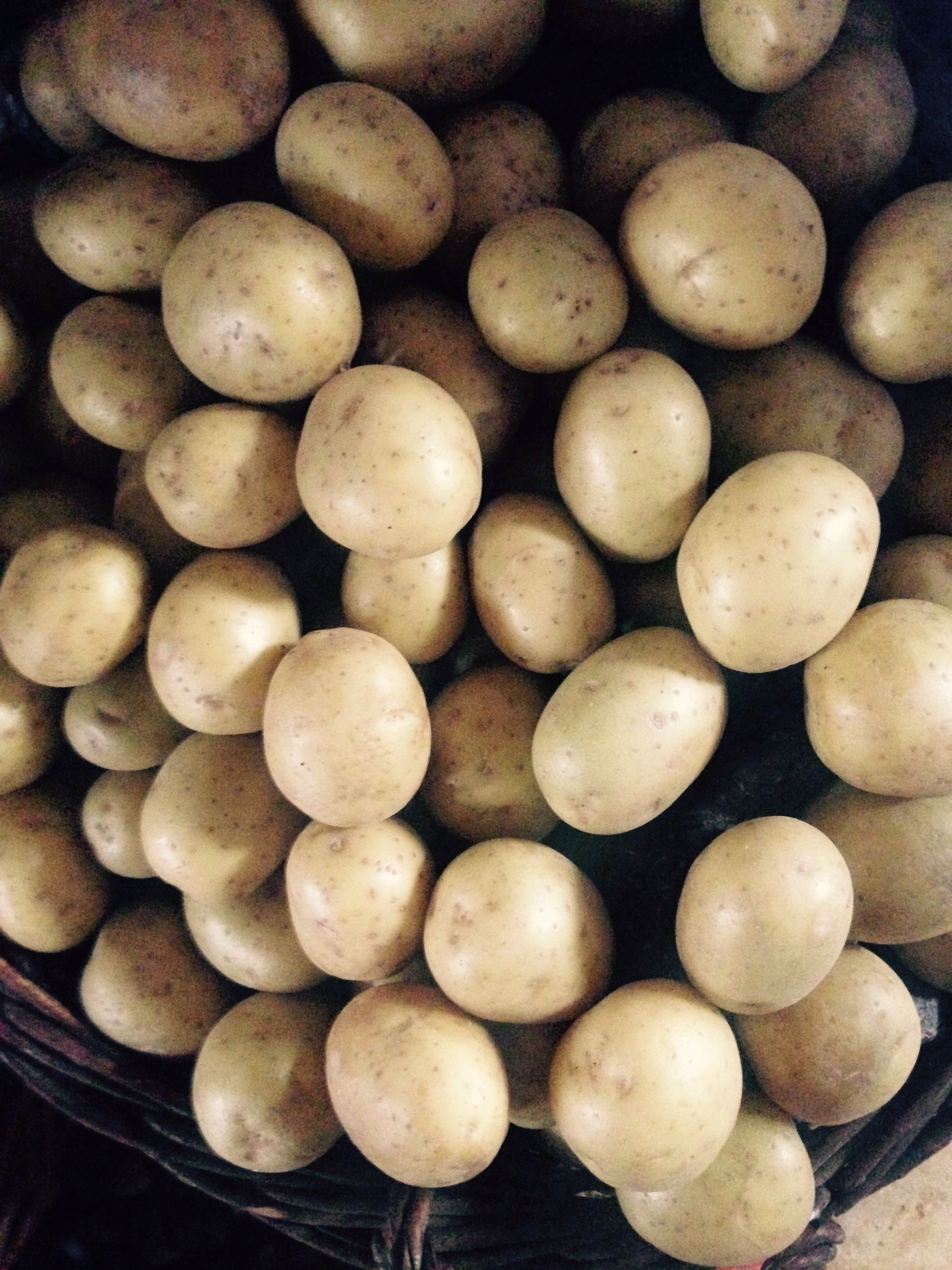 potato lot