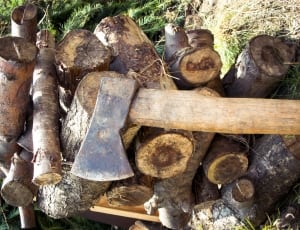 brown handle axe and wood trunks thumbnail