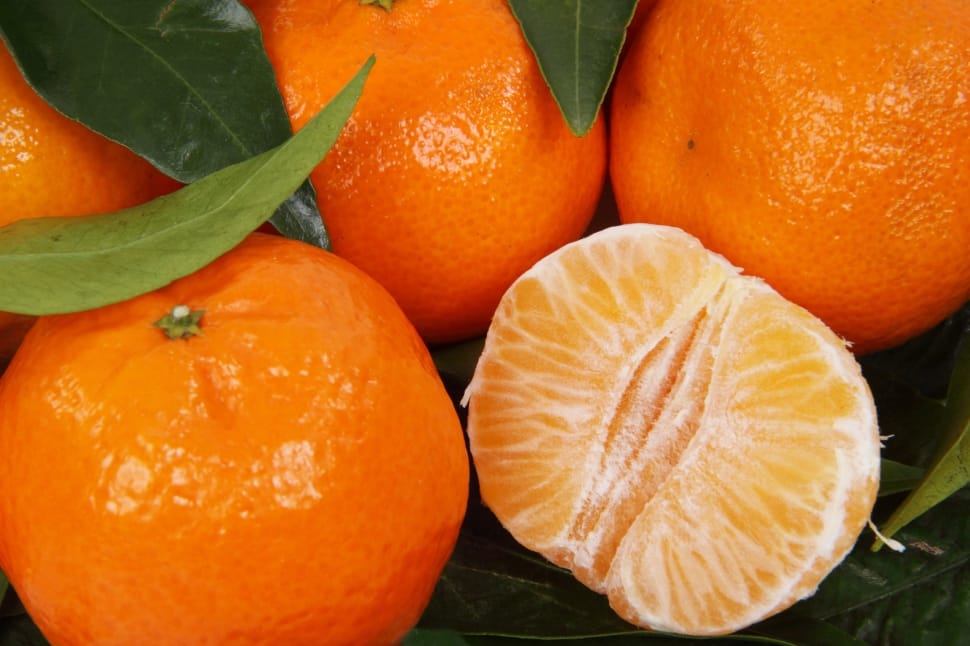 Tangerines and Winter Oranges