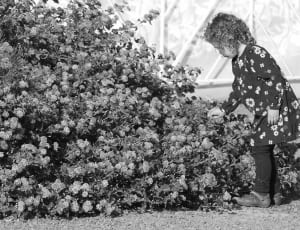 gray scale photo of child picking flower thumbnail