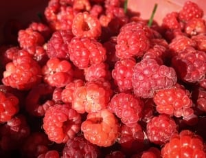 raspberries thumbnail