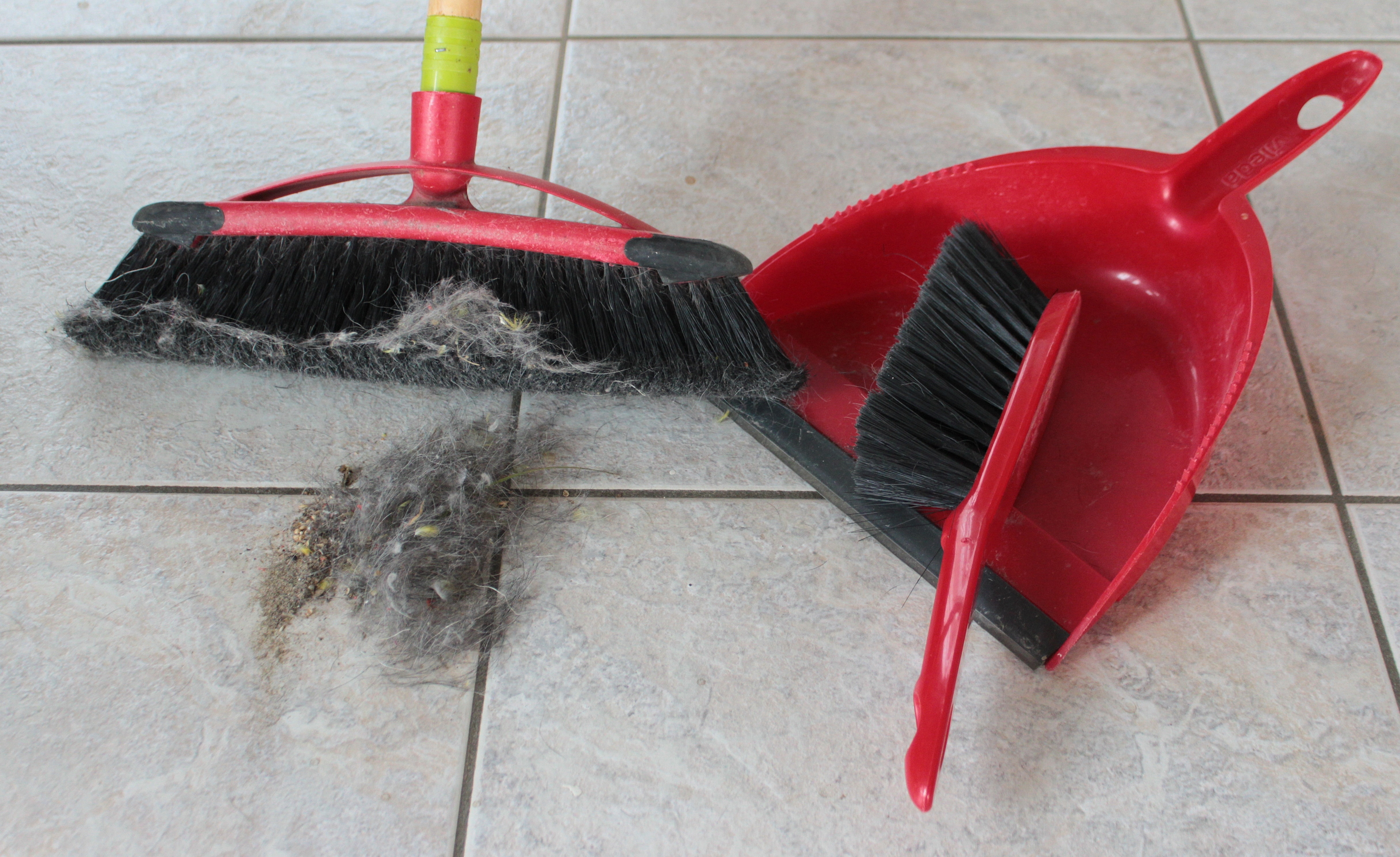black and red brush broom and dust pan