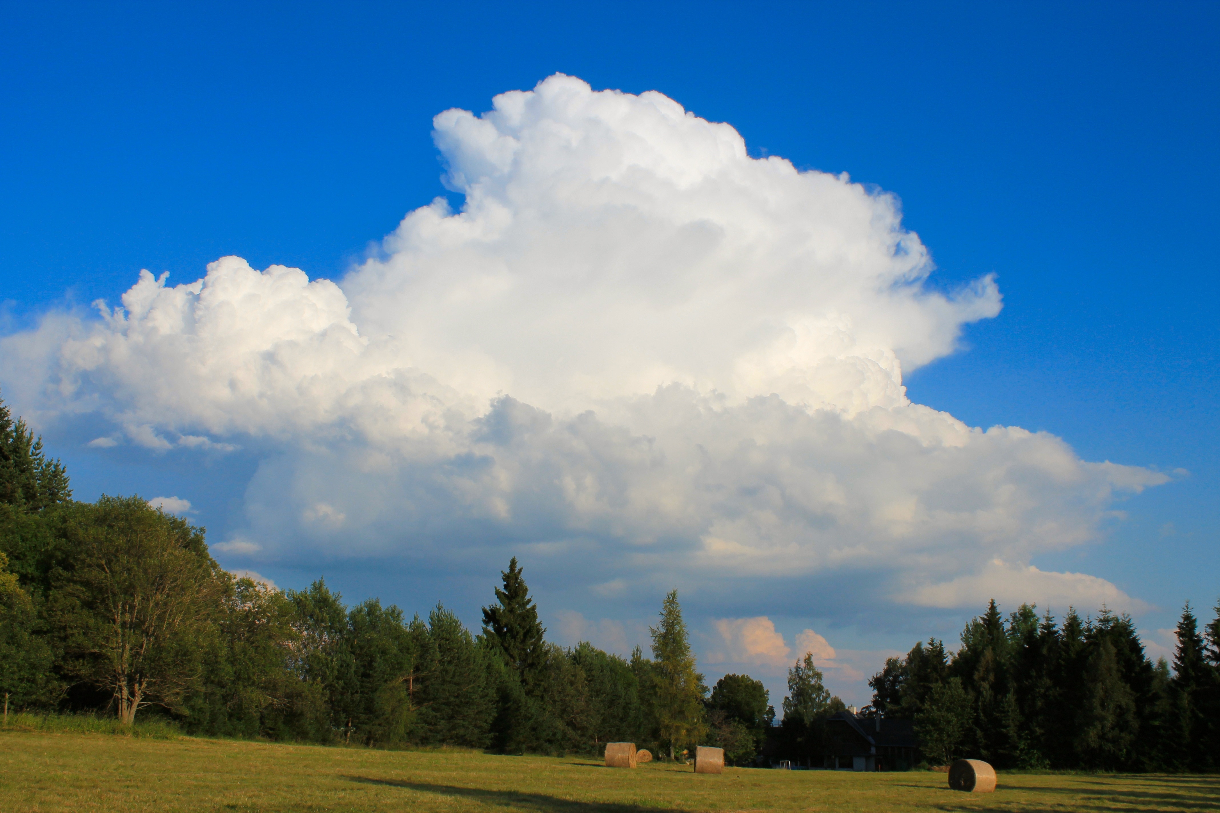 nimbus cloud formation free image | Peakpx