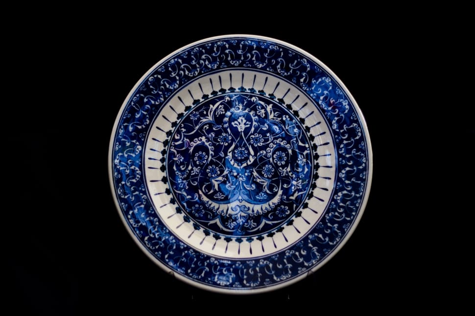 white and blue porcelain plate preview