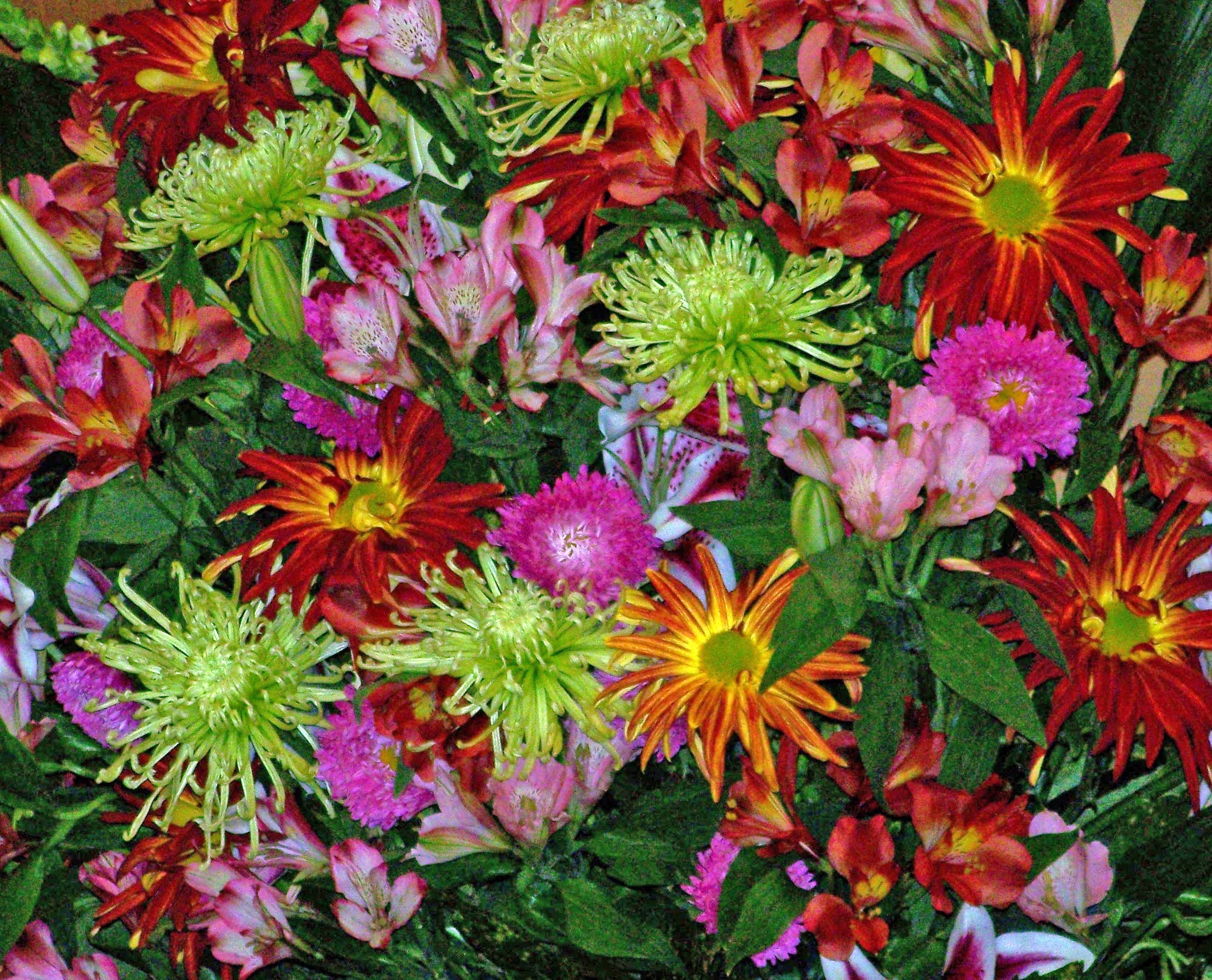 red, green and yellow flowers