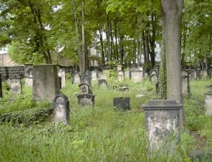 gray concrete tombstones surrounded green grass field thumbnail