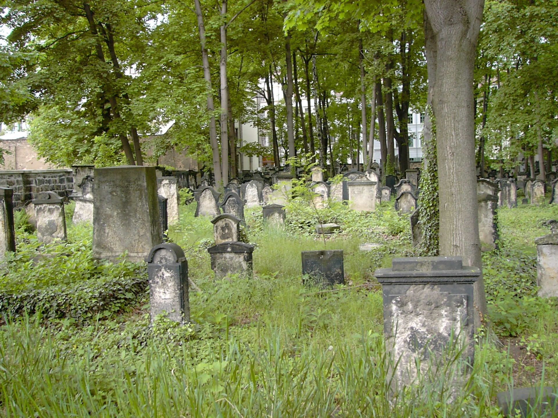 gray concrete tombstones surrounded green grass field