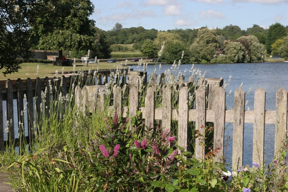 gray wooden fence near body of water under blue sky at daytime preview