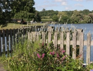 gray wooden fence near body of water under blue sky at daytime thumbnail