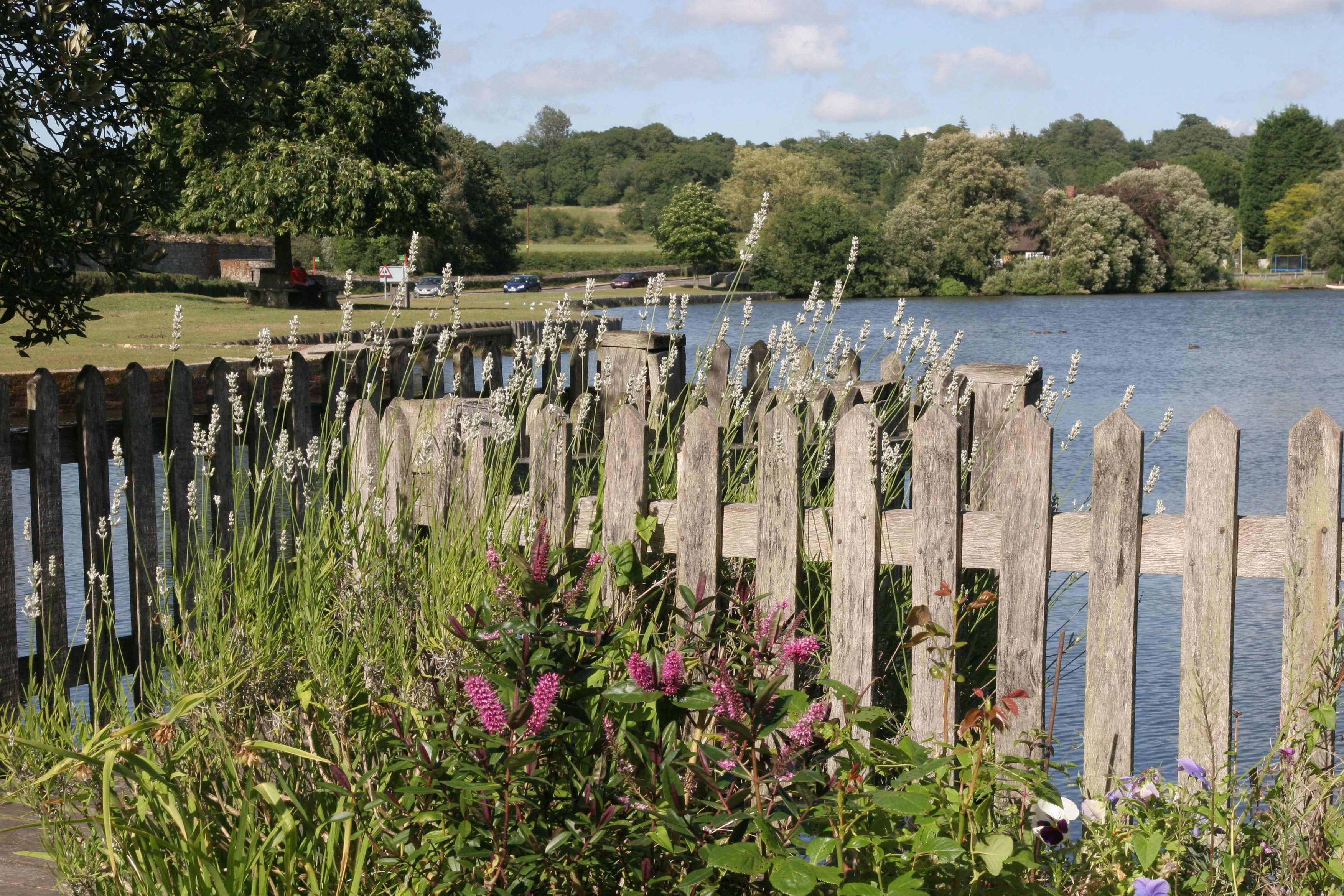 gray wooden fence near body of water under blue sky at daytime