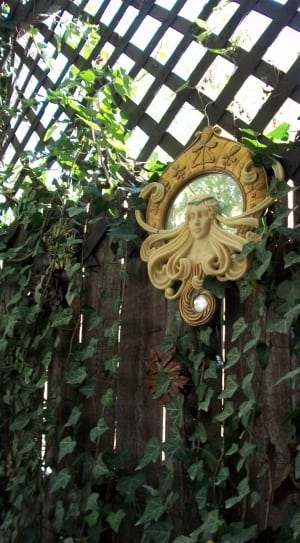 beige woman head frame round mirror and green vines plant thumbnail