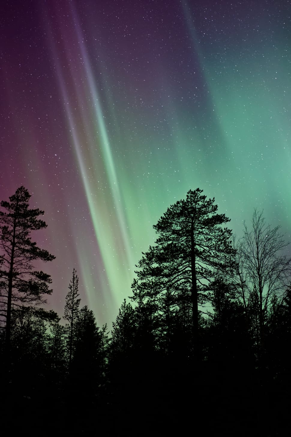 aurora borealis photography preview