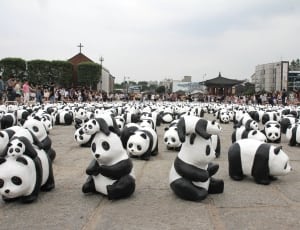 inflatable panda thumbnail
